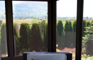 Insect Screens for Windows